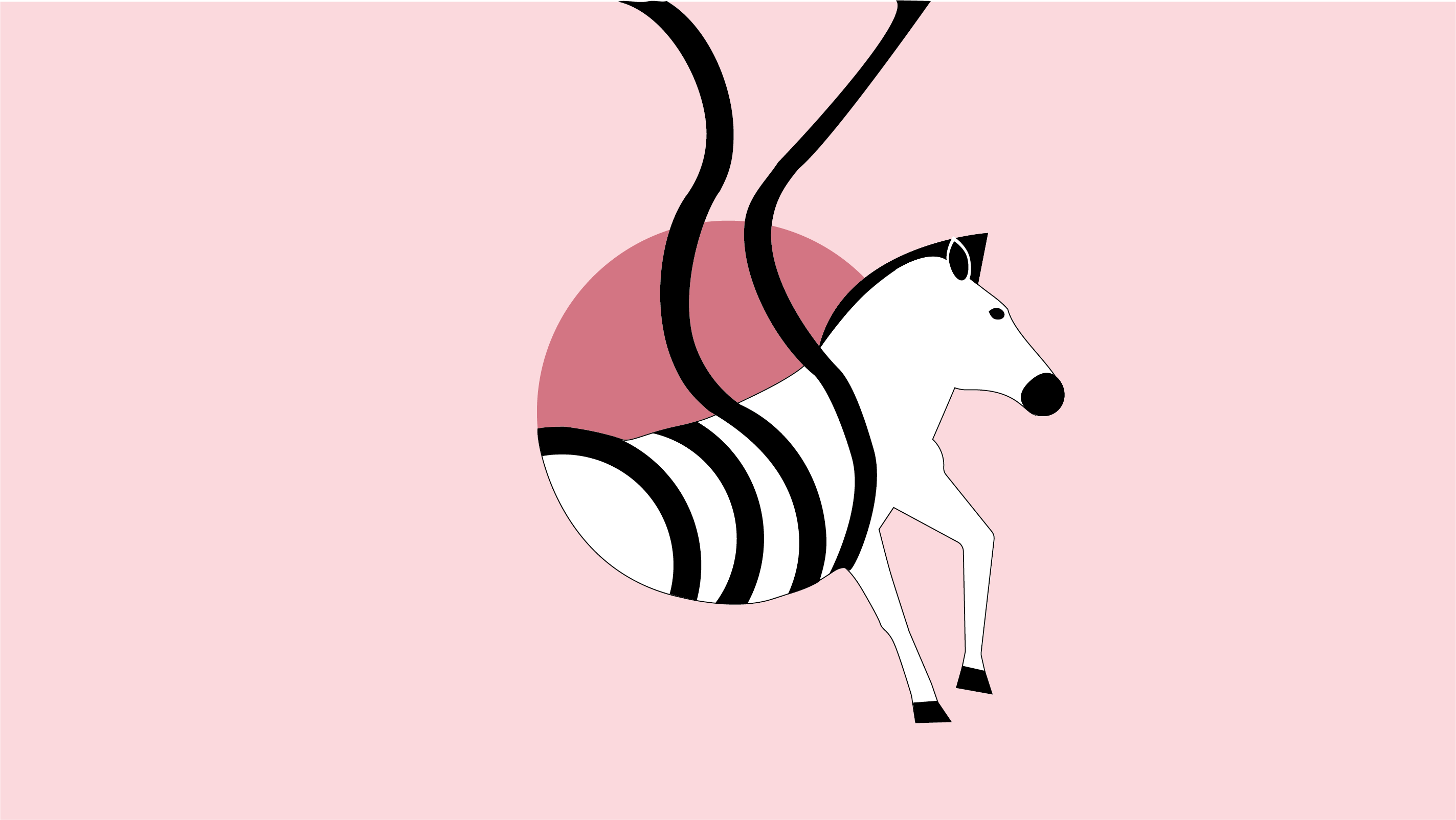 illustrated Zebra stripes coming off and going up in the air with pink background